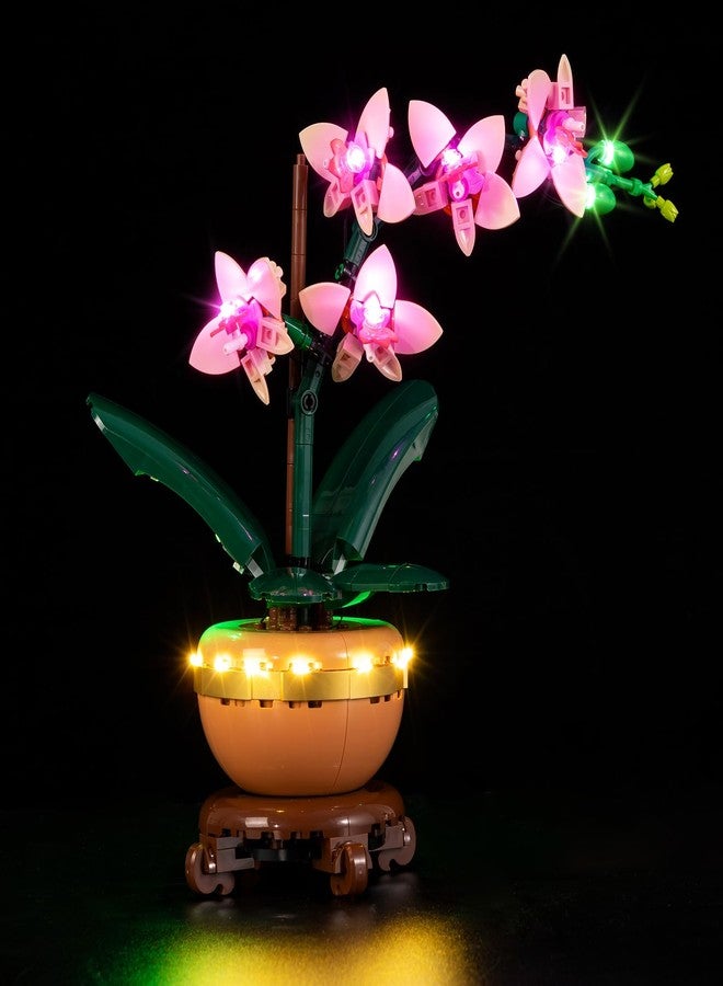طقم إضاءة BrickSoul متوافق مع مجموعة بناء Lego Mini Orchid 10343، ملحقات إضاءة بتصميم مُحسّن لنباتات Lego، تقنية إخفاء الكابلات للعرض، غير مُضمنة في مجموعة البناء 10343 - Image 1